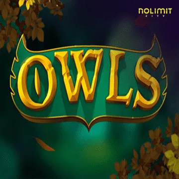 Owls - GECKO158